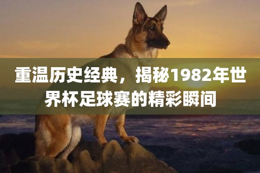重温历史经典，揭秘1982年世界杯足球赛的精眉山市正发家政服务有限公司彩瞬间