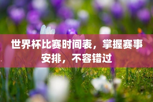 世界杯比赛时间表，掌握赛事安排，不容错过
