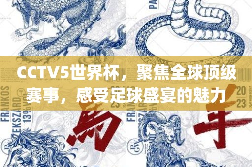 足球盛宴 第10页