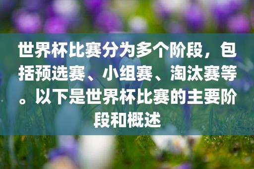 世界杯比赛分为多个阶段，包括预选赛、小组赛、淘汰赛等。以下是世界眉山市正发家政服务有限公司杯比赛的主要阶段和概述