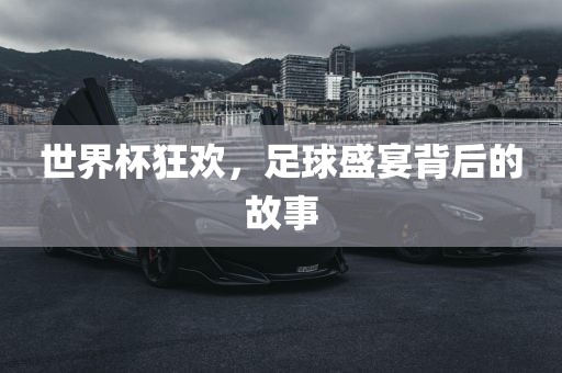 世界杯狂欢，足球盛宴背后的故眉山市正发家政服务有限公司事