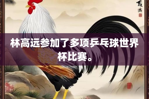 林高远参加了多项乒乓球世界杯比赛。