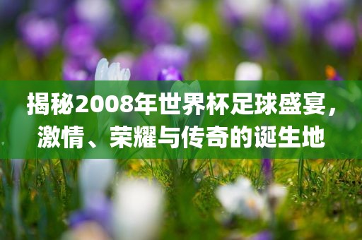 揭秘2008年世界杯足球盛宴眉山市正发家政服务有限公司，激情、荣耀与传奇的诞生地