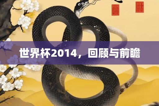 世界杯2014，回顾与前瞻