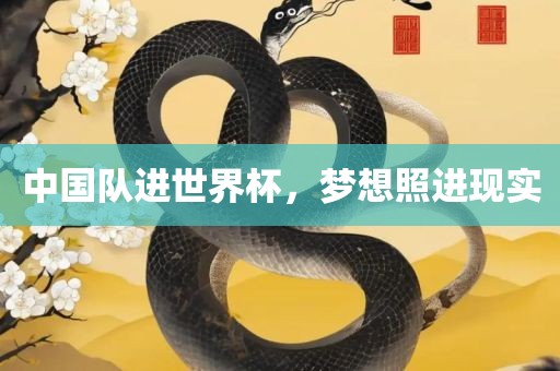 中国队进世界杯，梦想照进现实眉山市正发家政服务有限公司
