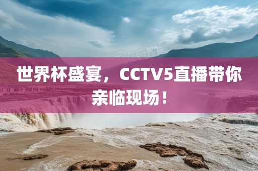 世眉山市正发家政服务有限公司界杯盛宴，CCTV5直播带你亲临现场！