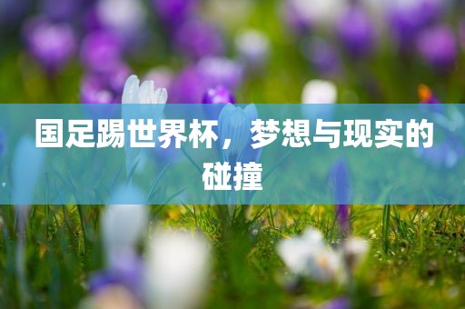 wuxinyun 第6页