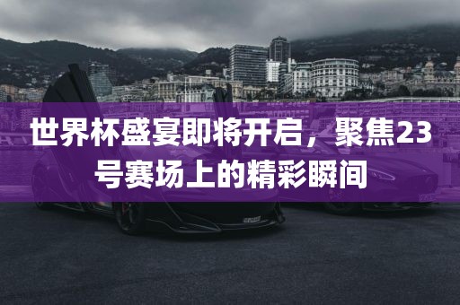 世界杯盛宴即将开启，聚焦23号赛场上的精彩瞬间