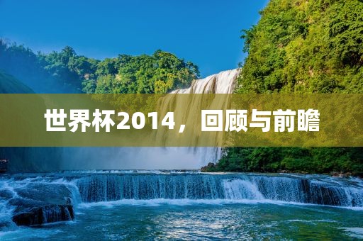 世界杯2014，回顾与前瞻
