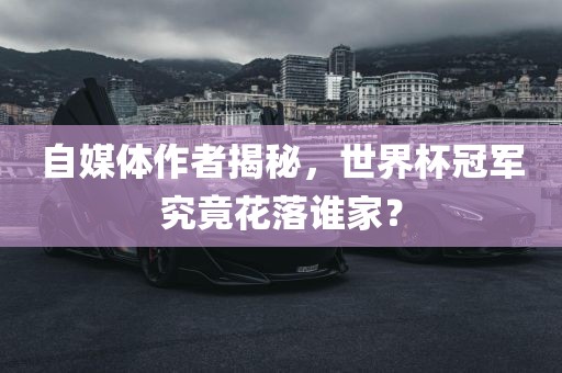 世界杯冠军 第4页