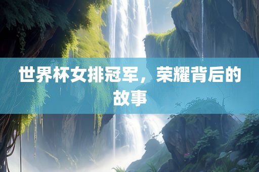 世界杯女排冠军，荣耀背后的故事眉山市正发家政服务有限公司