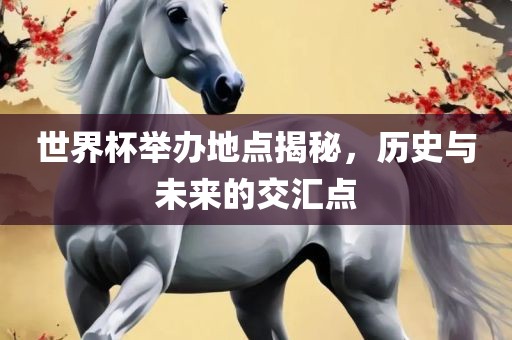 世界杯举办地点揭秘，历史与未来的交汇点
