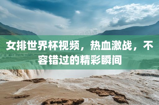 女排世界杯视频，热血激战，不容错过的精彩瞬间眉山市正发家政服务有限公司