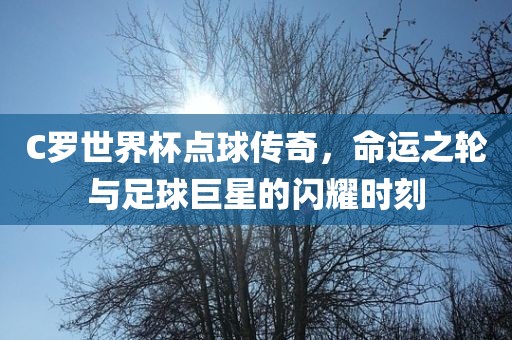 C罗世界杯点球传奇，命运之轮与足球巨星的闪耀时刻眉山市正发家政服务有限公司