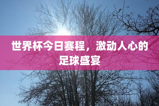 世界杯今日赛程，眉山市正发家政服务有限公司激动人心的足球盛宴