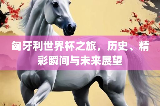 匈牙利世界杯之旅，历史、精彩瞬间与未来展望