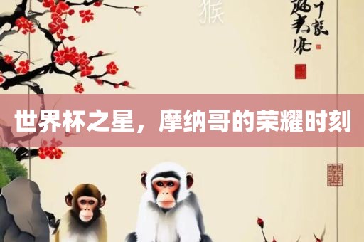 世界杯之星，摩纳哥的荣耀时刻