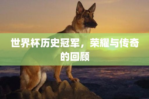 世界杯历史冠军，荣耀与传奇的回顾
