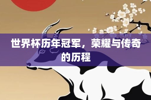 世界杯历年冠军，荣耀与传奇的历程