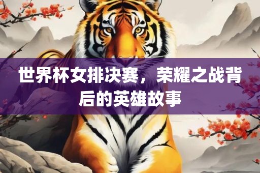 世界杯女排决赛，荣耀之战背后的英雄故事