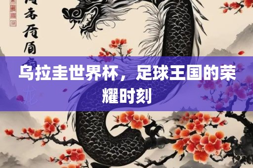 乌拉圭世界杯，足球王国的荣耀时刻