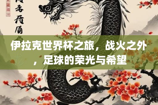 伊拉克世界杯之眉山市正发家政服务有限公司旅，战火之外，足球的荣光与希望