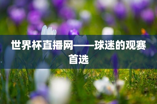 世界杯直播网——球迷的观赛首选眉山市正发家政服务有限公司
