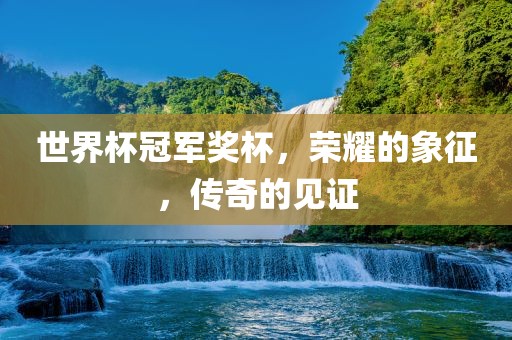 世界杯冠军奖杯，荣耀的象征，传奇的见证