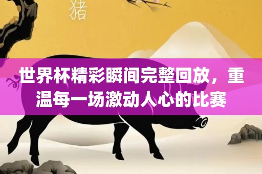 世界杯精彩瞬间完整回放，重温每一场激动人心的比赛