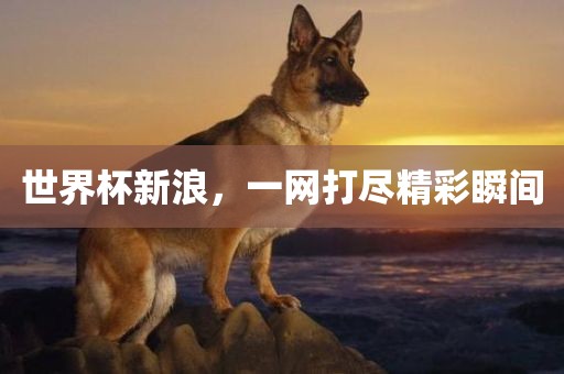 meinan 第5页