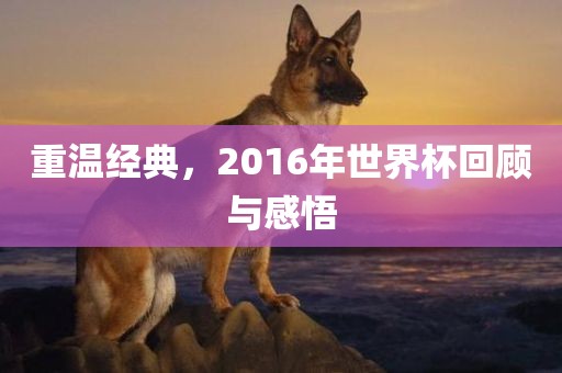 重温经典，2016年世界杯回顾与感悟