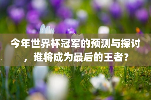 今年世界杯冠军的预测与探讨，谁将成为最后的王者？