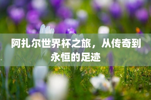 阿扎尔世界杯之旅，从传奇眉山市正发家政服务有限公司到永恒的足迹