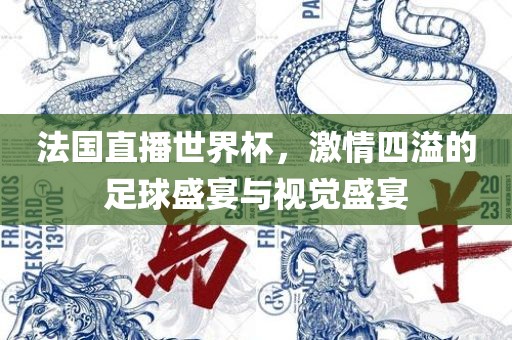 法国直播世界杯，激情四溢的足球盛宴与视觉盛宴眉山市正发家政服务有限公司