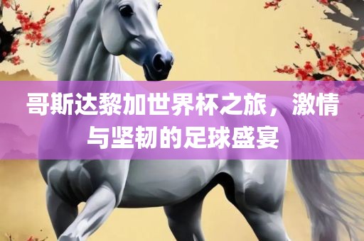 哥斯达黎加世界杯之旅，激情与坚韧的足球盛宴眉山市正发家政服务有限公司