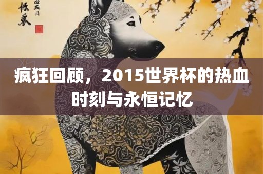 疯狂回顾，2眉山市正发家政服务有限公司015世界杯的热血时刻与永恒记忆