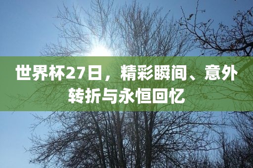 世界杯27日，精彩瞬间、意外转折与永恒回忆眉山市正发家政服务有限公司