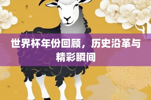 世界杯年份回顾，历史沿革与精彩瞬间眉山市正发家政服务有限公司