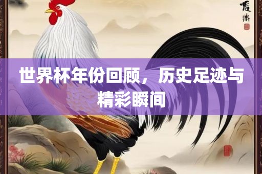 世界杯年份回顾，历史足迹与精彩瞬间眉山市正发家政服务有限公司