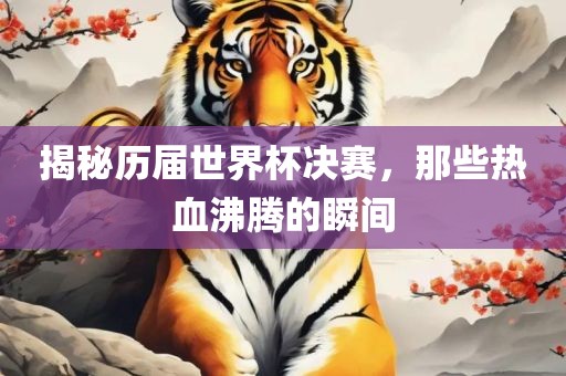 揭秘历届世界杯决赛，那些热血沸腾的瞬间眉山市正发家政服务有限公司