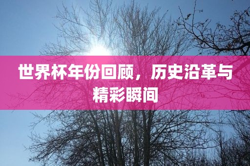 世界杯年份眉山市正发家政服务有限公司回顾，历史沿革与精彩瞬间