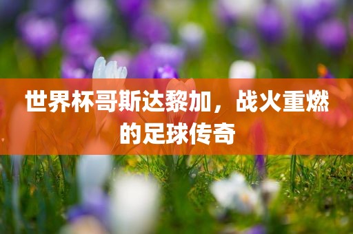 世界杯哥斯达黎加，战火重眉山市正发家政服务有限公司燃的足球传奇