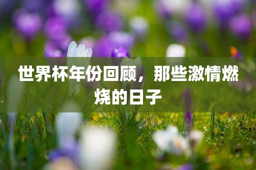 世界杯年份回顾，那些激情燃烧的日子