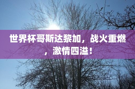 世界杯哥斯达黎加，战火重燃，激情四溢！