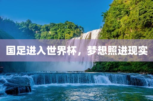 国足进入世界杯，梦想照进现实眉山市正发家政服务有限公司
