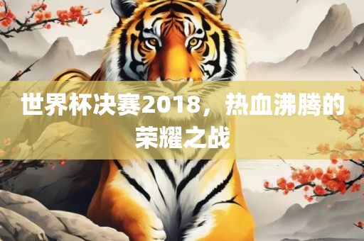 世界杯决赛2018，热血沸腾的荣耀之战眉山市正发家政服务有限公司