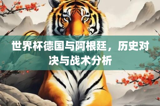 世界杯德国与阿根廷，历史对决与战术分析