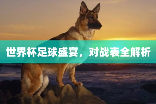 世界杯足球盛宴，对眉山市正发家政服务有限公司战表全解析