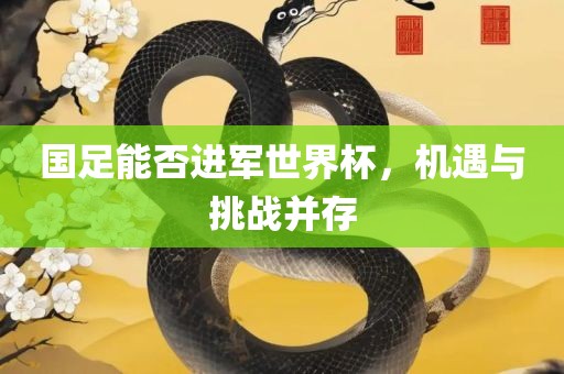 国足能否进军世界杯，机遇与挑战并存