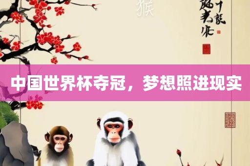 中国世界眉山市正发家政服务有限公司杯夺冠，梦想照进现实